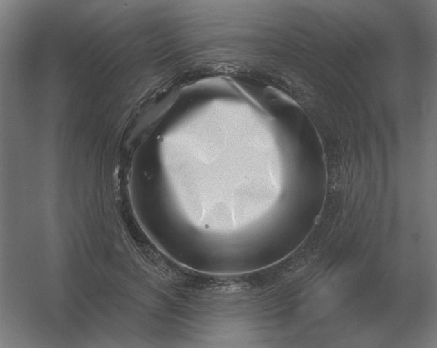 X0000054420646200508121752