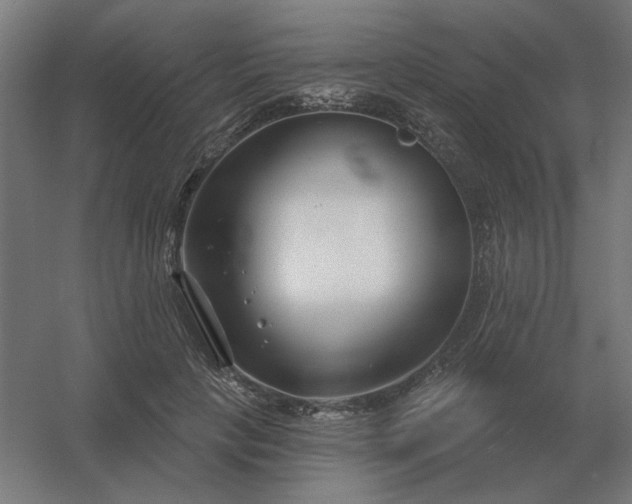 X0000054420649200508121752