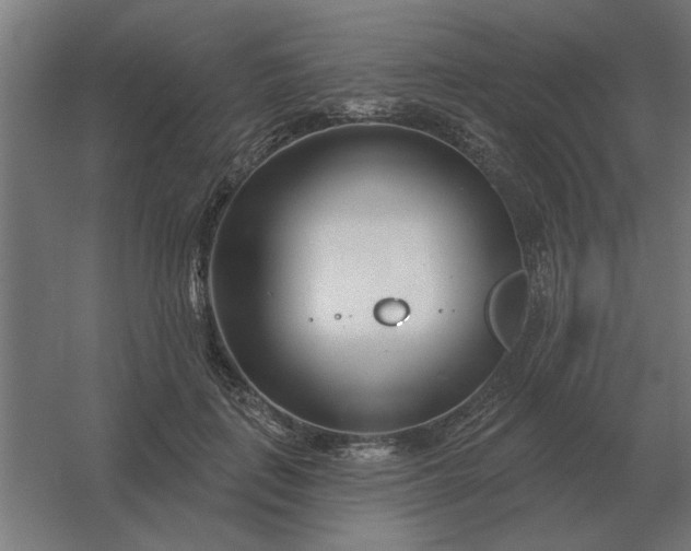 X0000054420651200508121752