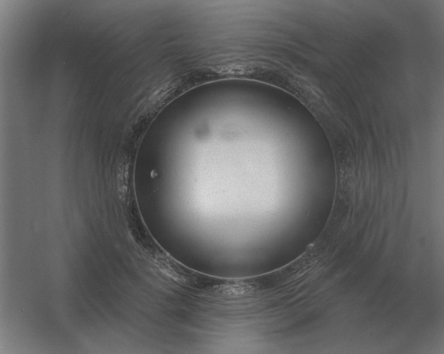 X0000054420652200508121752