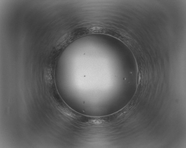 X0000054420654200508121753