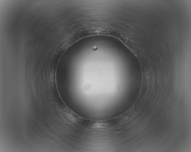 X0000054420657200508121753