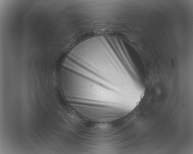 X0000054420659200508121753