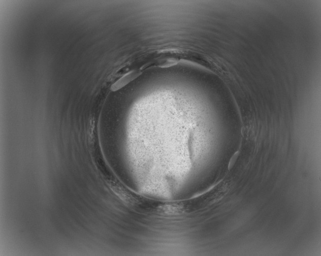 X0000054420660200508121753