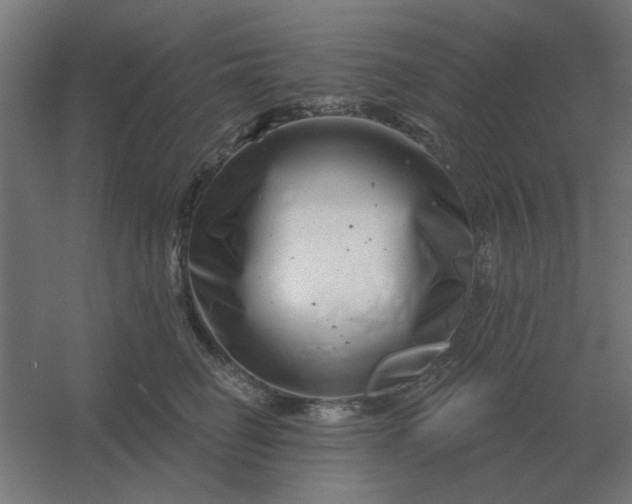 X0000054420662200508121753