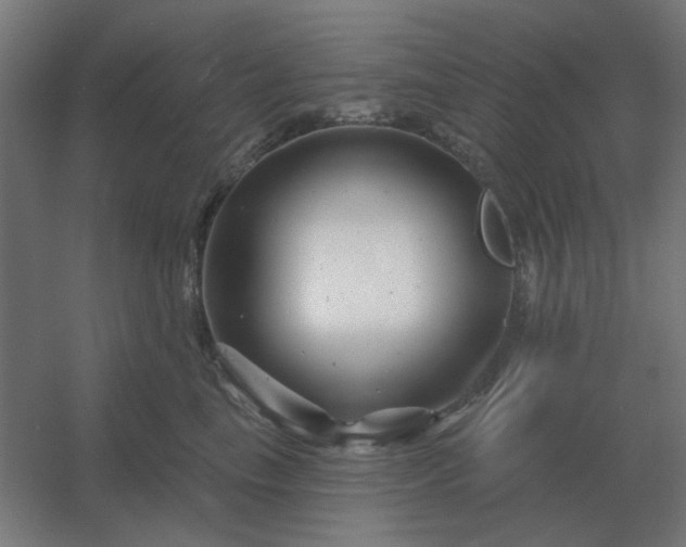 X0000054420665200508121753