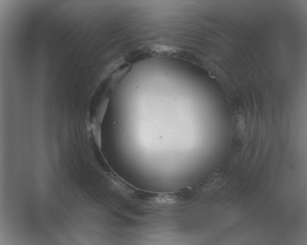 X0000054420668200508121753