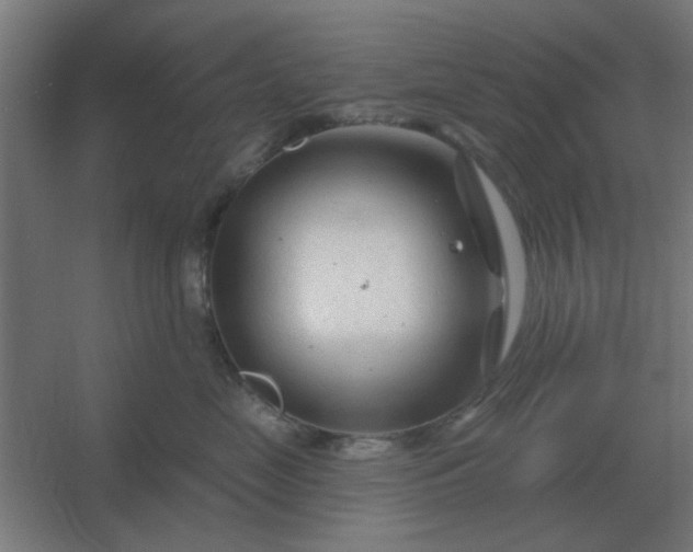 X0000054420669200508121753