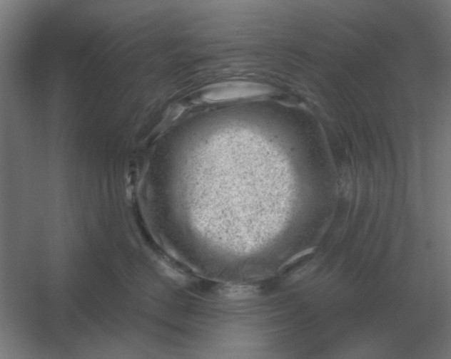 X0000054420670200508121753