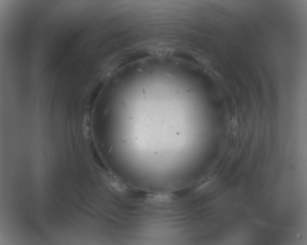 X0000054420671200508121753