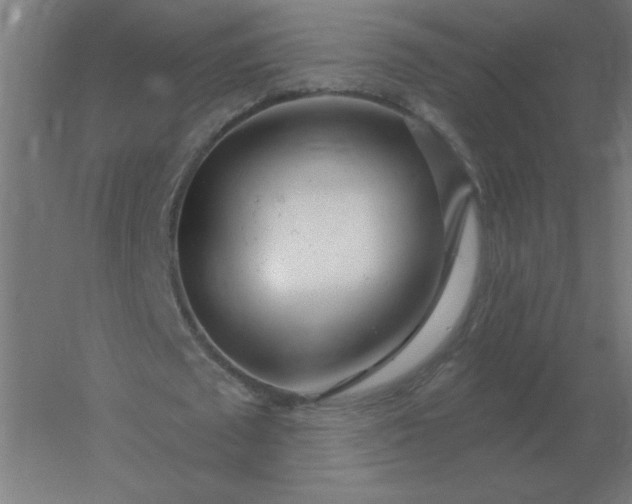 X0000054420673200508121752