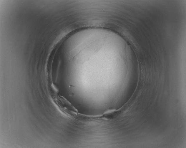 X0000054420674200508121752