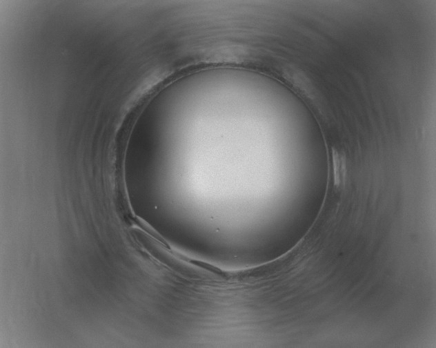 X0000054420675200508121752