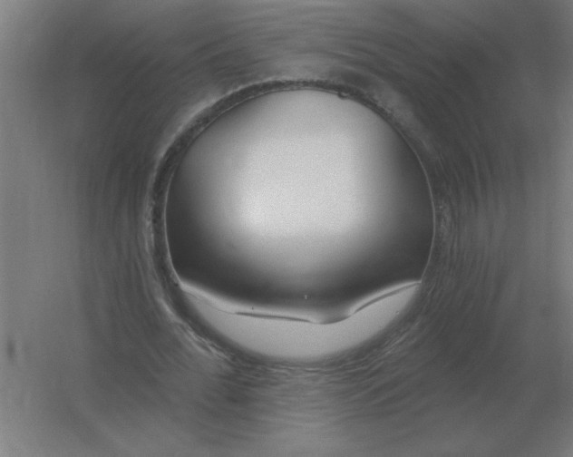 X0000054420676200508121752