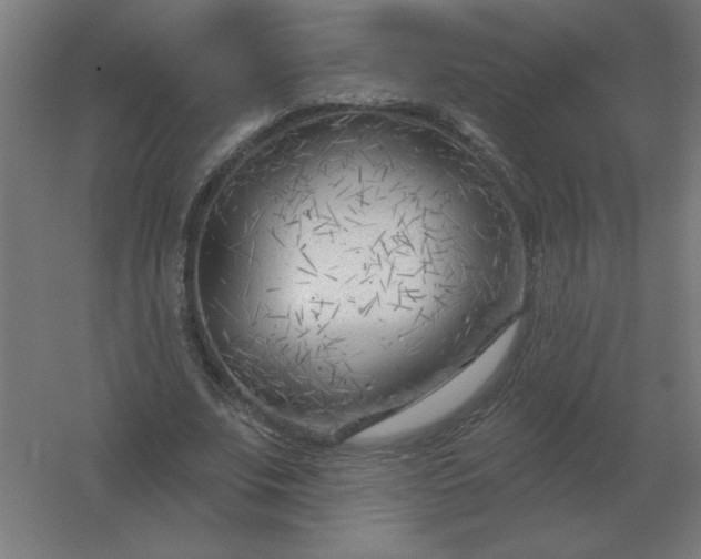 X0000054420679200508121752