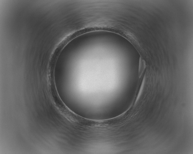 X0000054420680200508121752