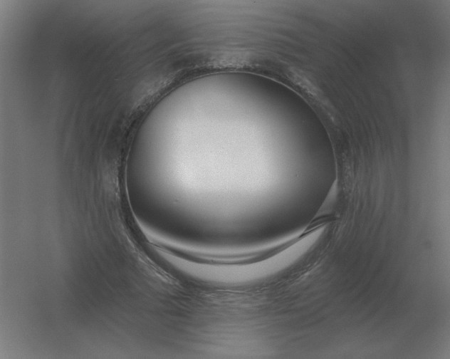 X0000054420681200508121752