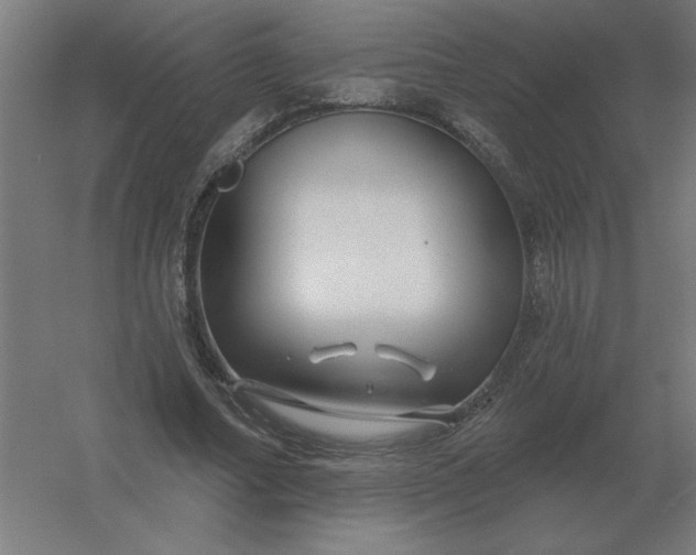 X0000054420682200508121752