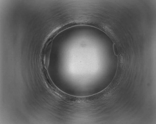 X0000054420684200508121752