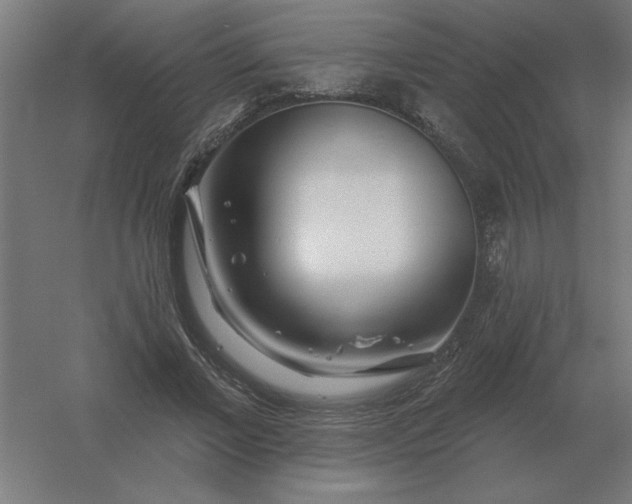 X0000054420685200508121752