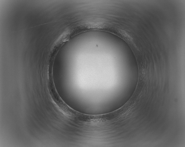 X0000054420686200508121752