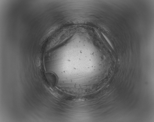 X0000054420687200508121752