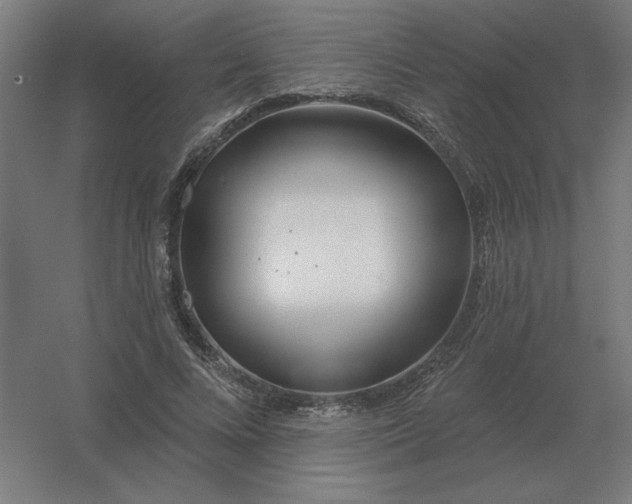 X0000054420688200508121752