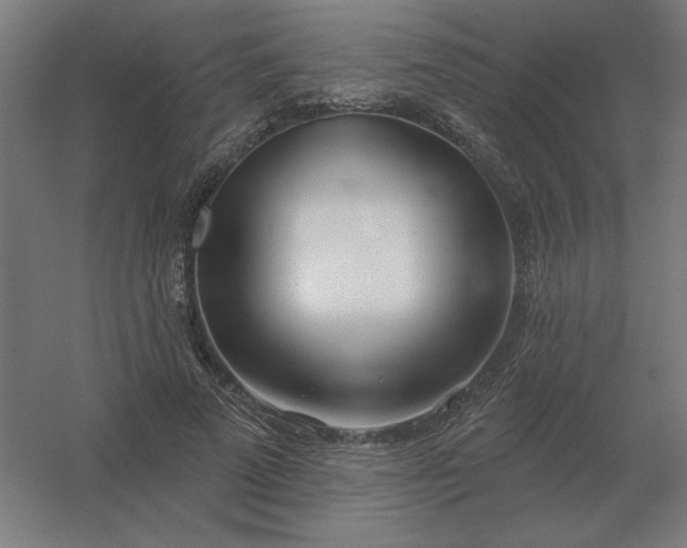 X0000054420689200508121752