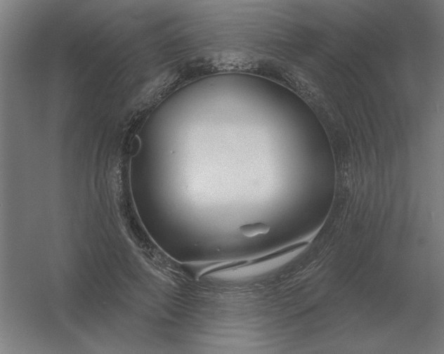 X0000054420690200508121752