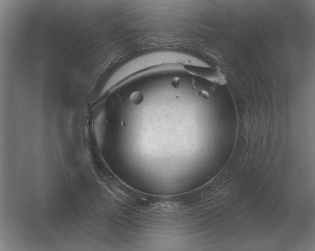 X0000054420691200508121752