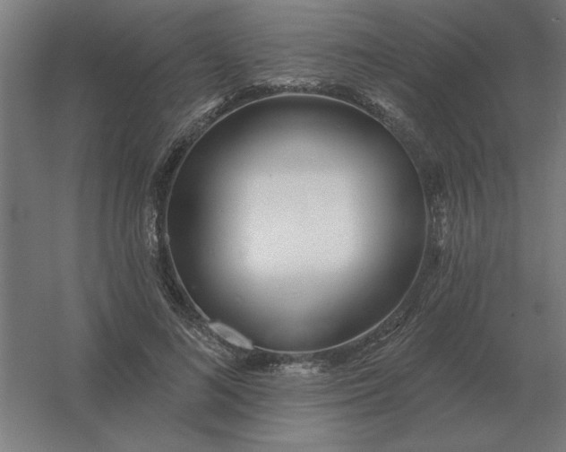 X0000054420692200508121752