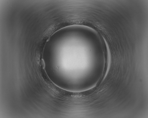 X0000054420693200508121752