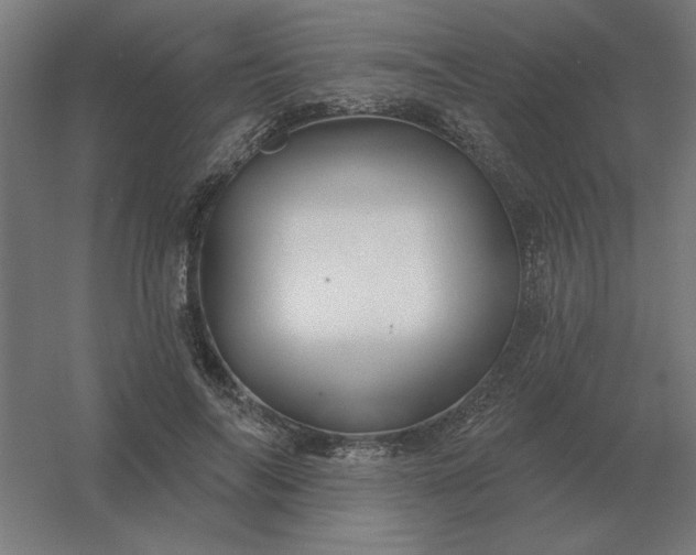 X0000054420694200508121752