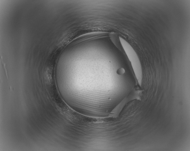 X0000054420695200508121752