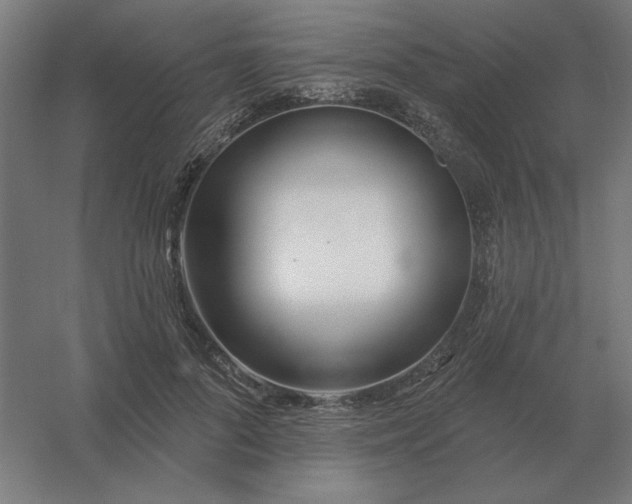 X0000054420696200508121752