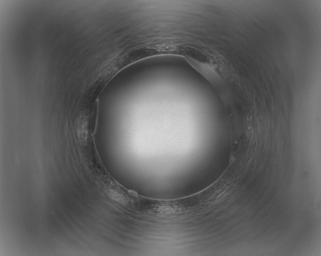 X0000054420697200508121752