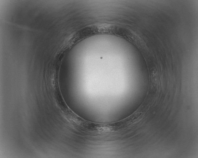 X0000054420698200508121752