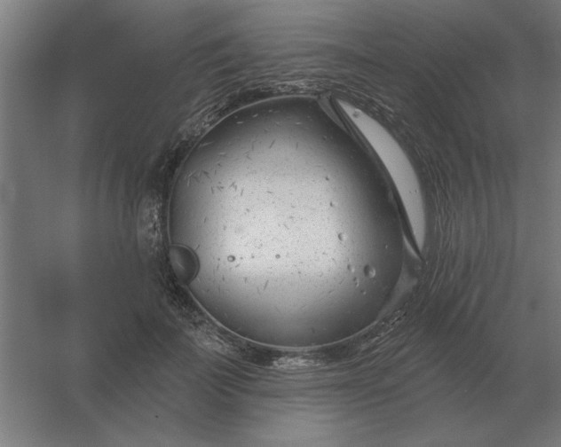 X0000054420699200508121752