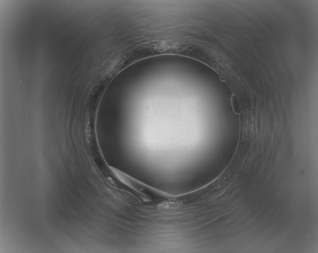 X0000054420700200508121752