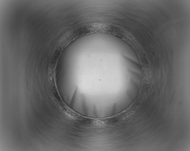 X0000054420701200508121752