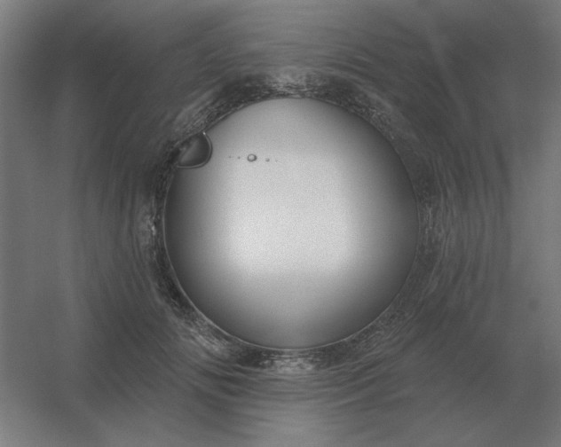 X0000054420702200508121752