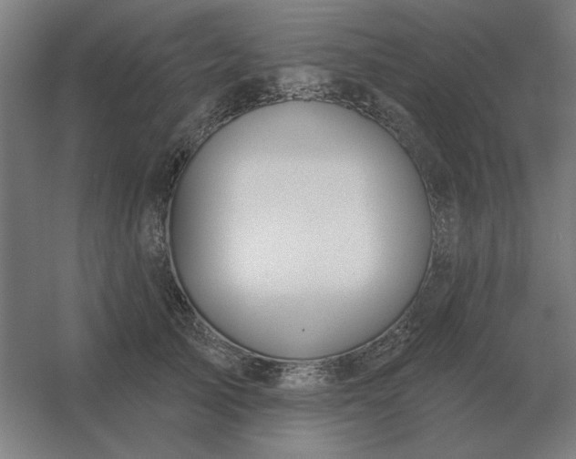 X0000054420705200508121751