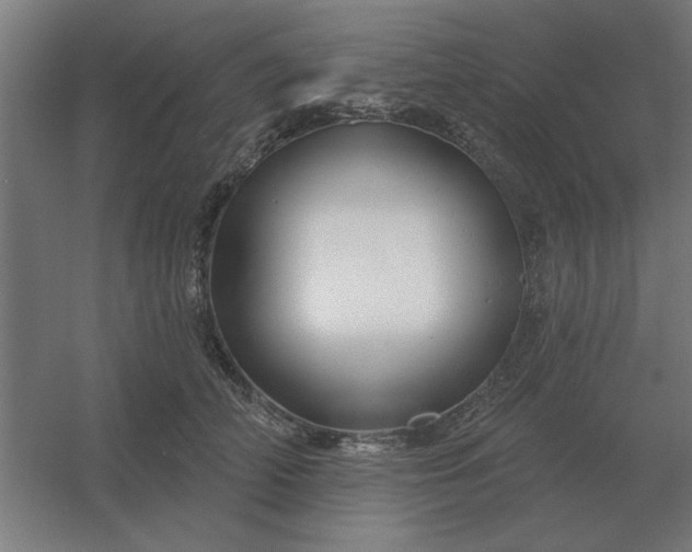 X0000054420706200508121751