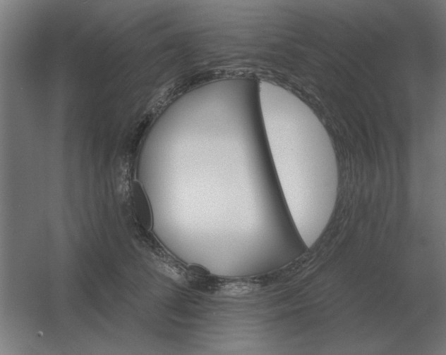 X0000054420708200508121751