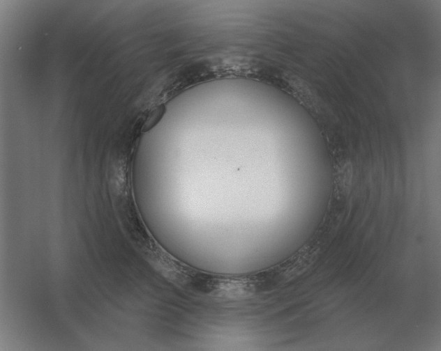 X0000054420709200508121751