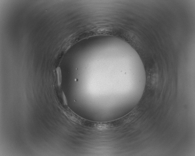 X0000054420710200508121751