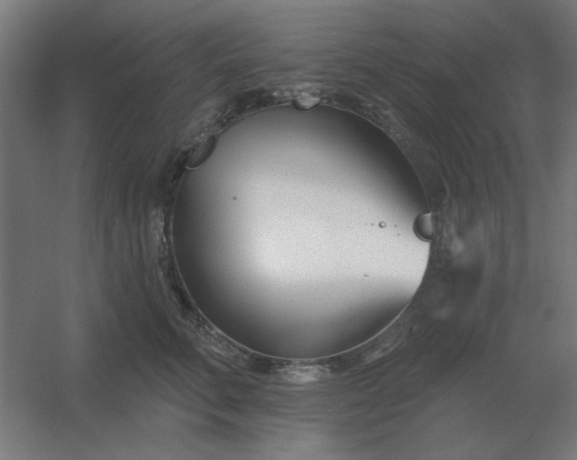 X0000054420711200508121751