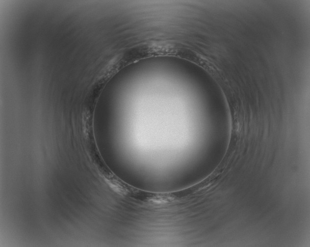 X0000054420712200508121751