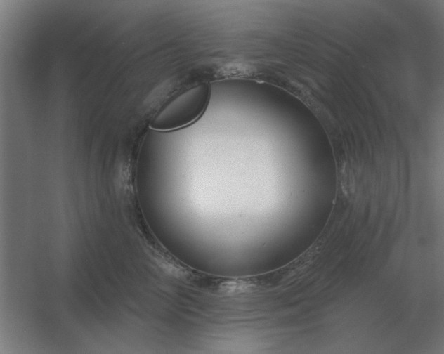 X0000054420714200508121751