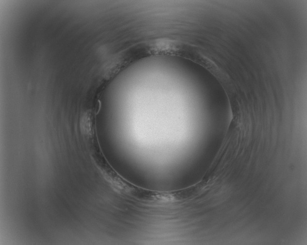 X0000054420715200508121751